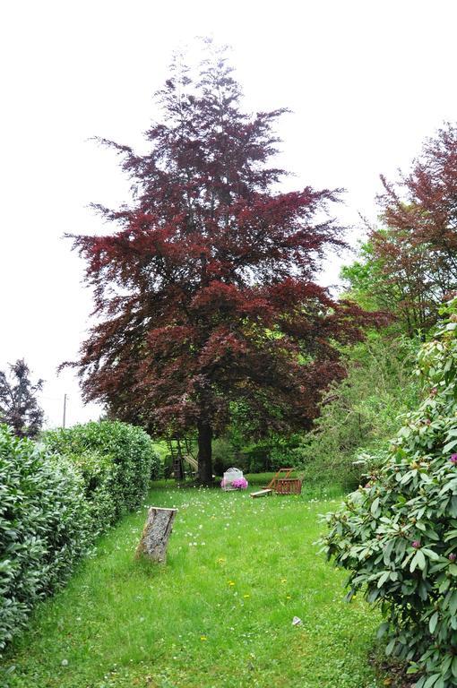 B&B La Cabane Du Bois Dormant สปา ภายนอก รูปภาพ